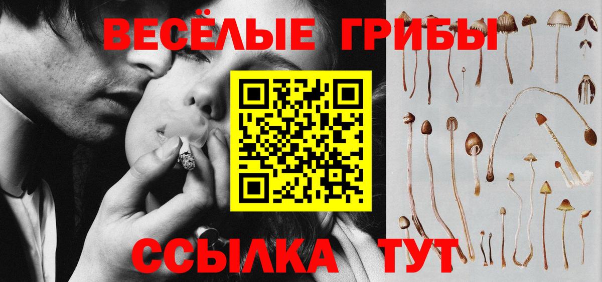 Псилоцибиновые грибы мухоморы Берёзовский