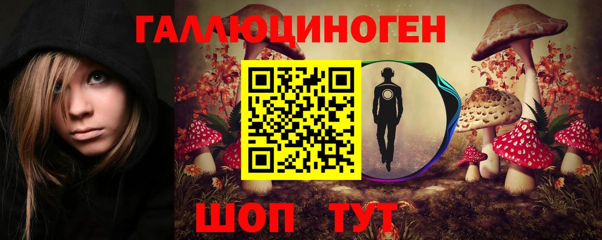 Псилоцибиновые грибы Cubensis  Берёзовский  Галлюциногенные грибы MAGIC MUSHROOMS 