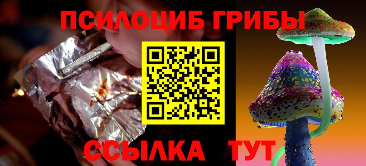 Псилоцибиновые грибы Psilocybine cubensis  Псилоцибиновые грибы прущие грибы  Вход с VPN  Берёзовский 